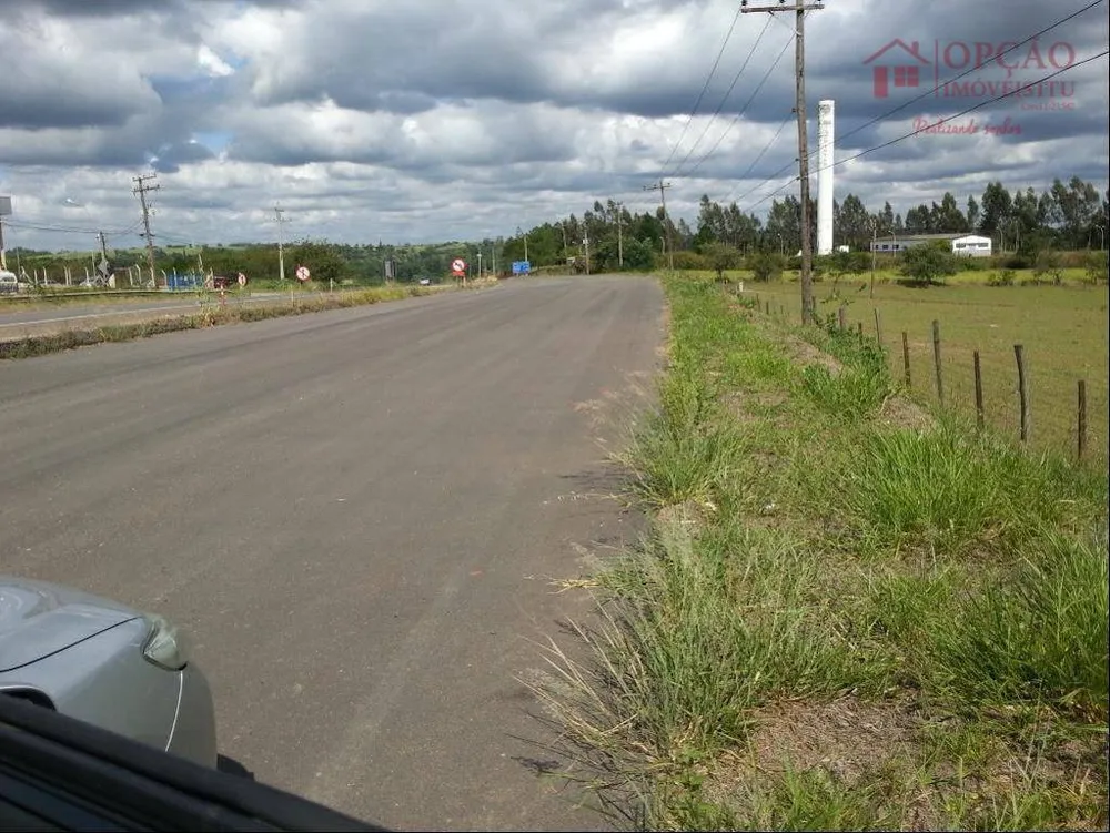 Terreno, 12 hectares - Foto 4