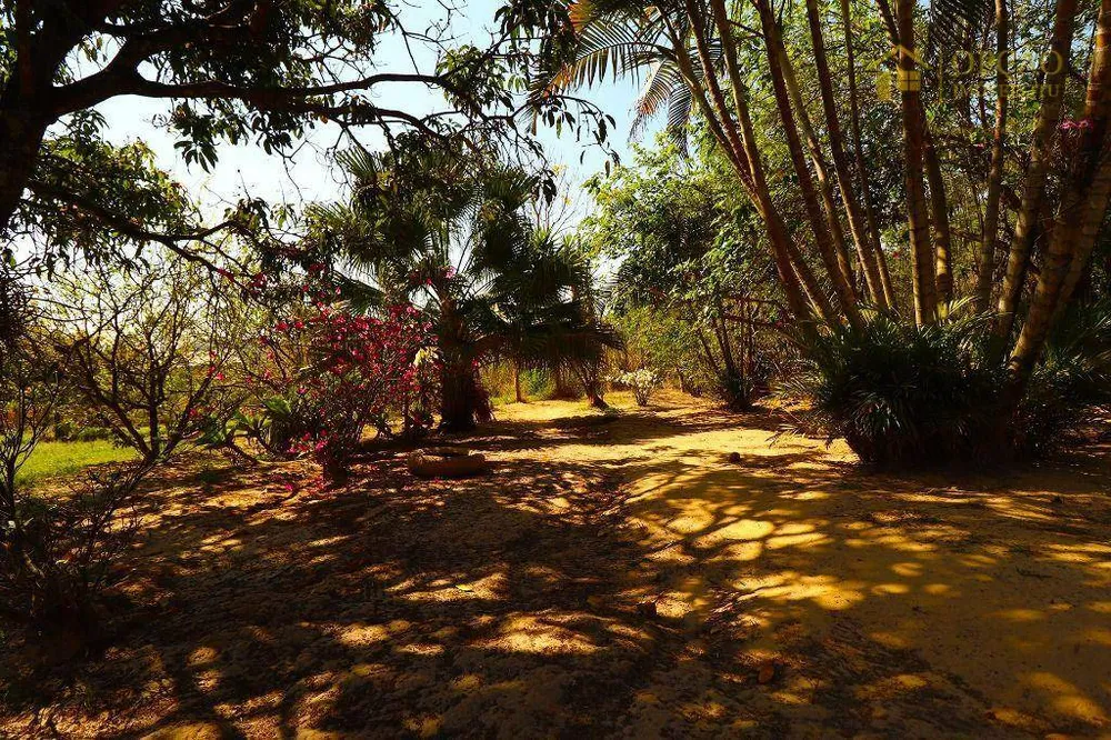 Sítio, 3 quartos, 2 hectares - Foto 14