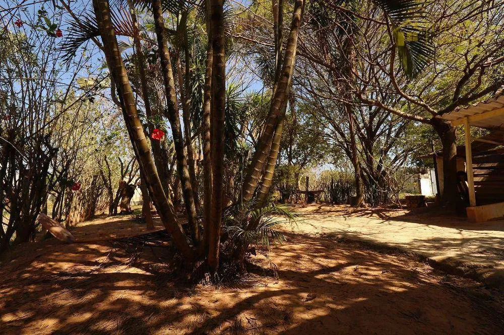 Sítio, 3 quartos, 2 hectares - Foto 4