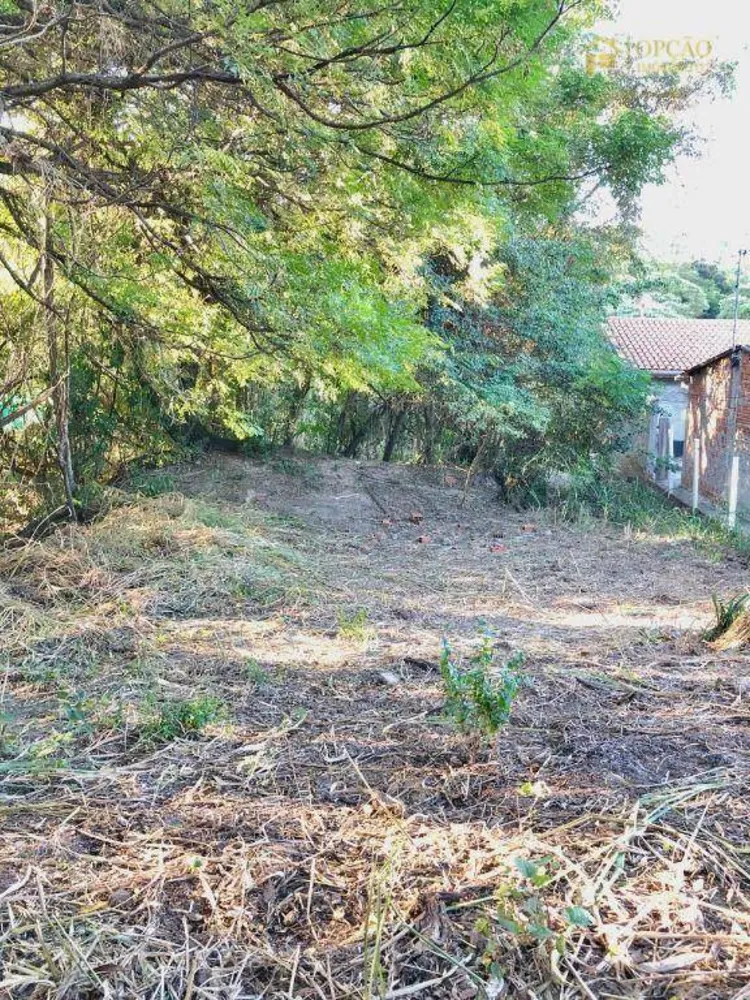 Loteamento e Condomínio, 2636 m² - Foto 3