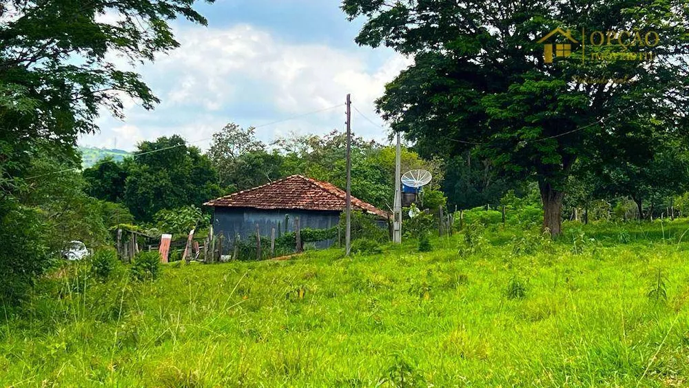 Sítio, 45 hectares - Foto 7