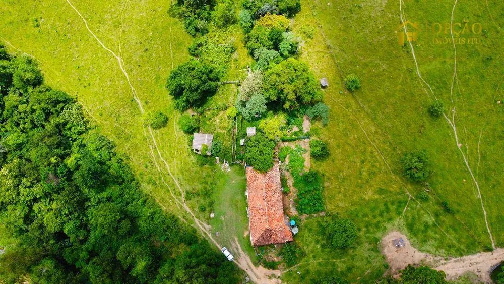 Sítio, 45 hectares - Foto 10