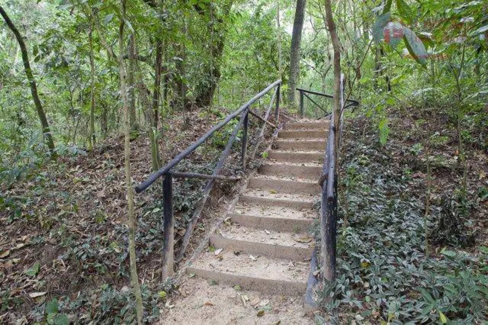 Loteamento e Condomínio, 3000 m² - Foto 7