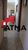 Casa, 5 quartos, 156 m² - Foto 18
