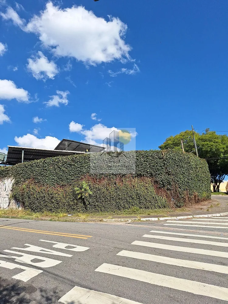 Terreno, 600 m² - Foto 5