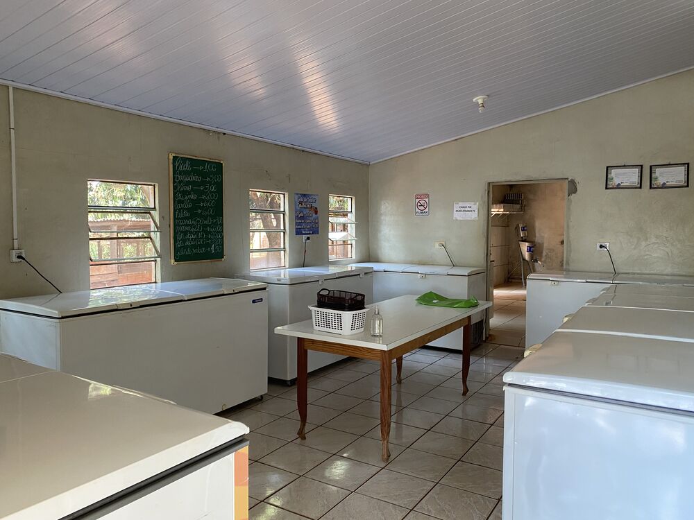 Chácara, 3 quartos, 3800 m² - Foto 27