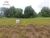 Chácara, 1000 m² - Foto 1