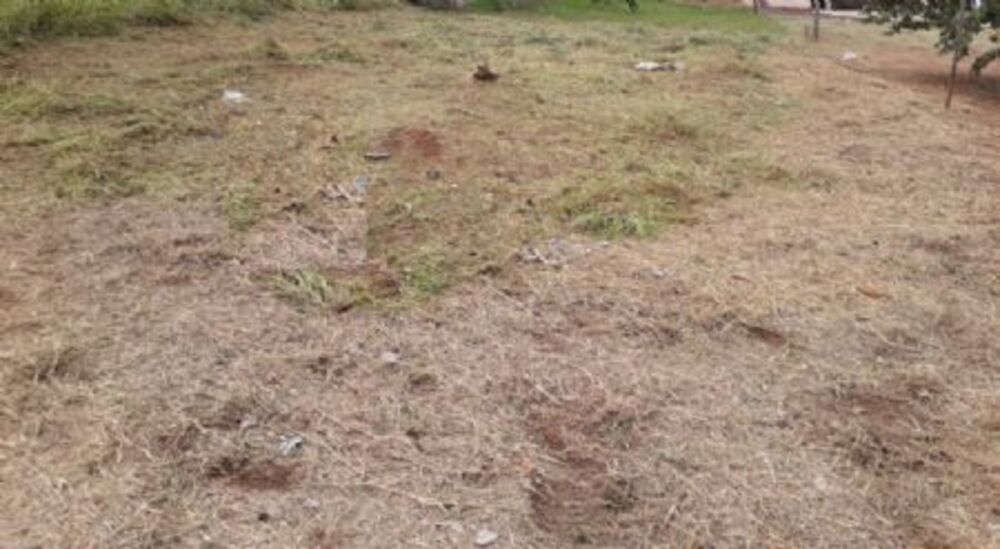 Terreno, 231 m² - Foto 1