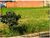 Terreno, 4 m² - Foto 3