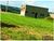 Terreno, 4 m² - Foto 4
