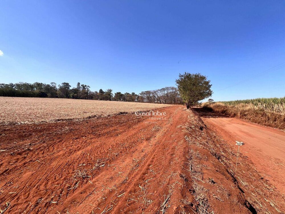 Terreno, 10 hectares - Foto 3