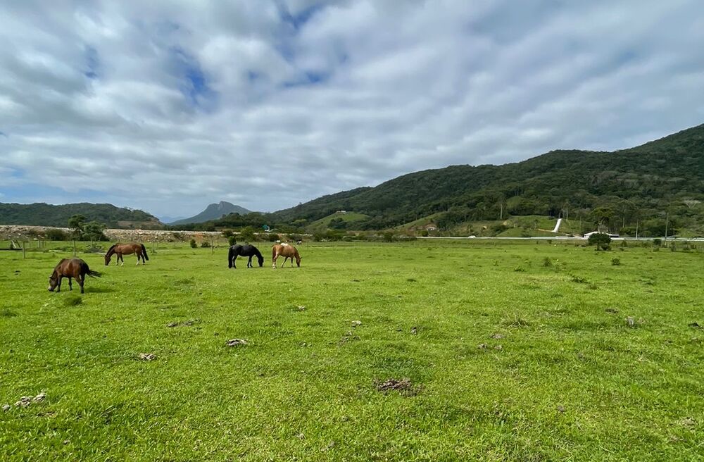 Terreno à venda, 39710m2 - Foto 10