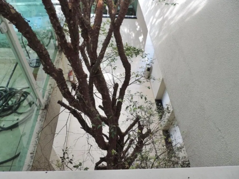 Prédio Inteiro, 273 m² - Foto 8