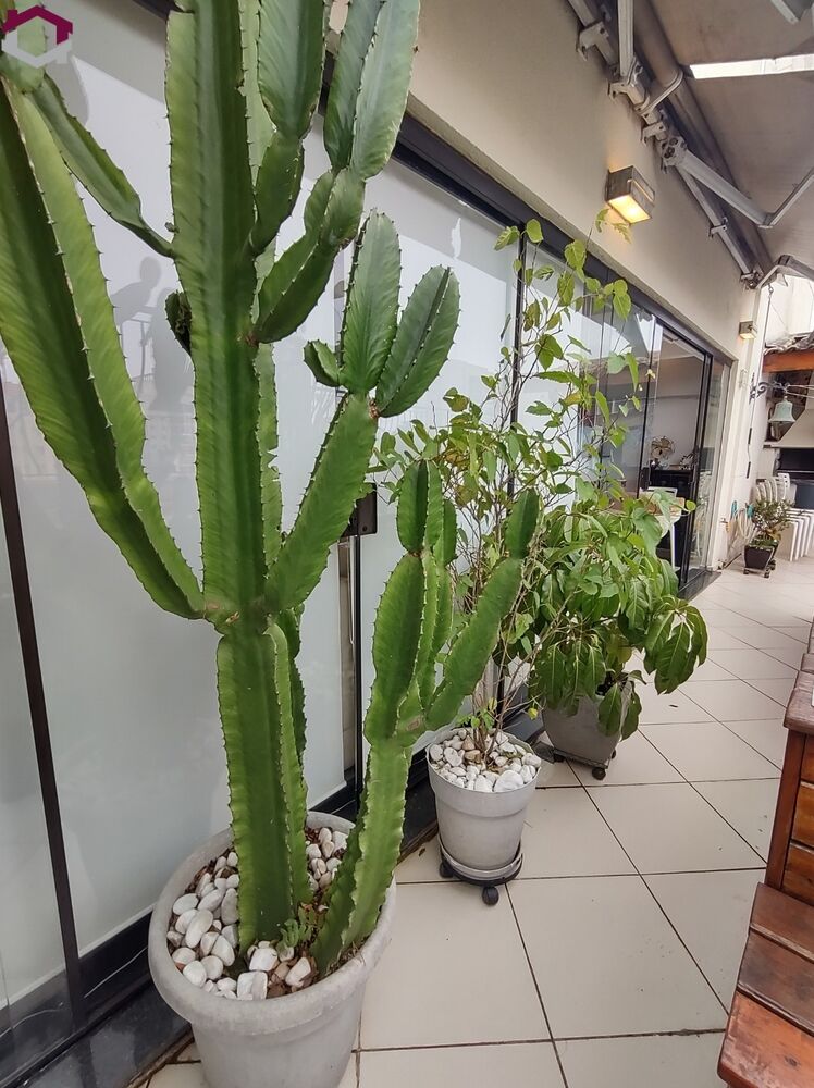 Cobertura, 2 quartos, 101 m² - Foto 6