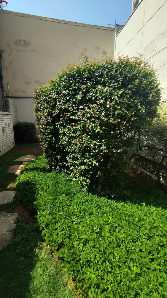 Apartamento, 2 quartos, 70 m² - Foto 15