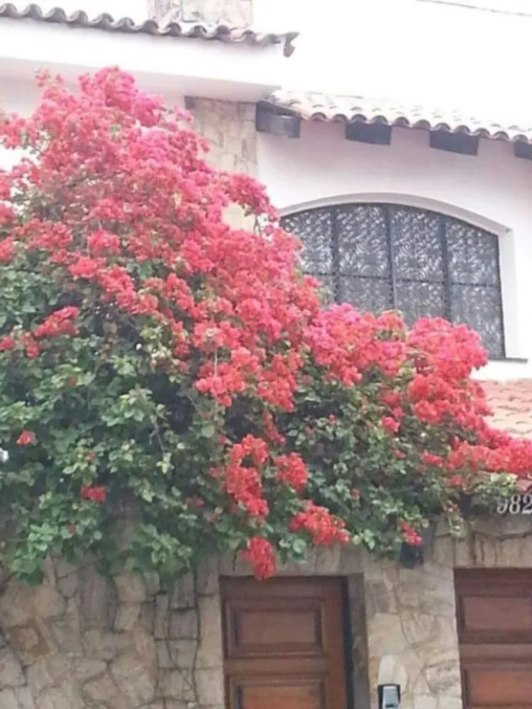 Sobrado, 3 quartos, 280 m² - Foto 20