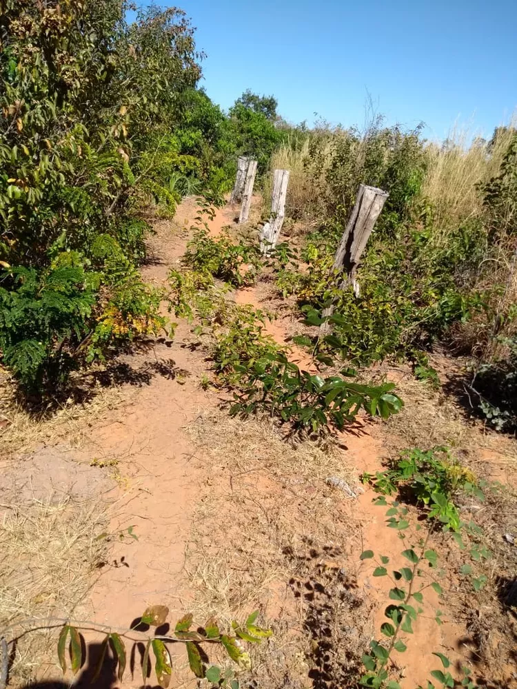 Fazenda, 343 m² - Foto 2