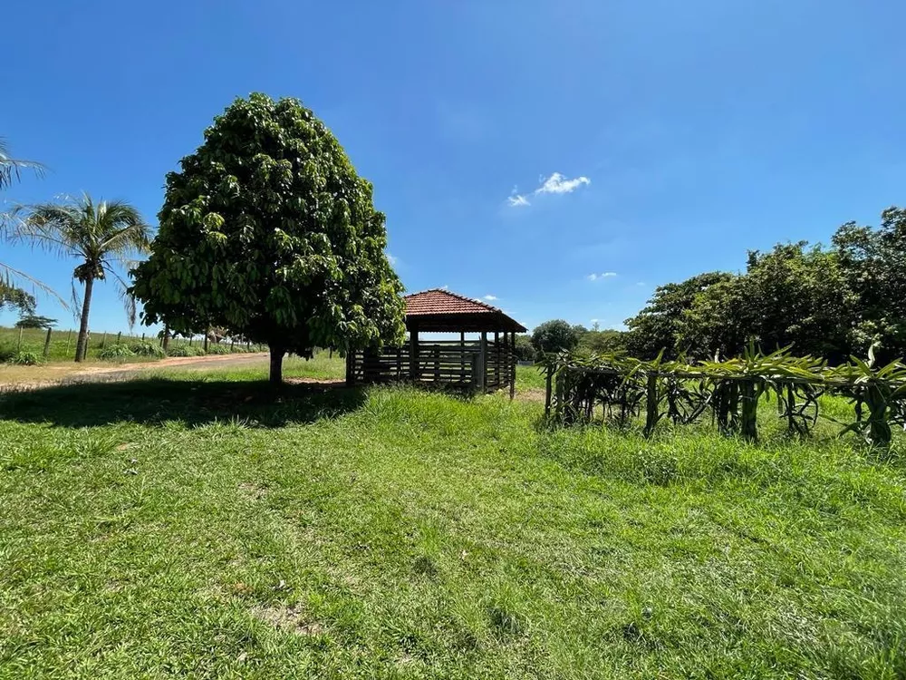 Sítio, 25 m² - Foto 4