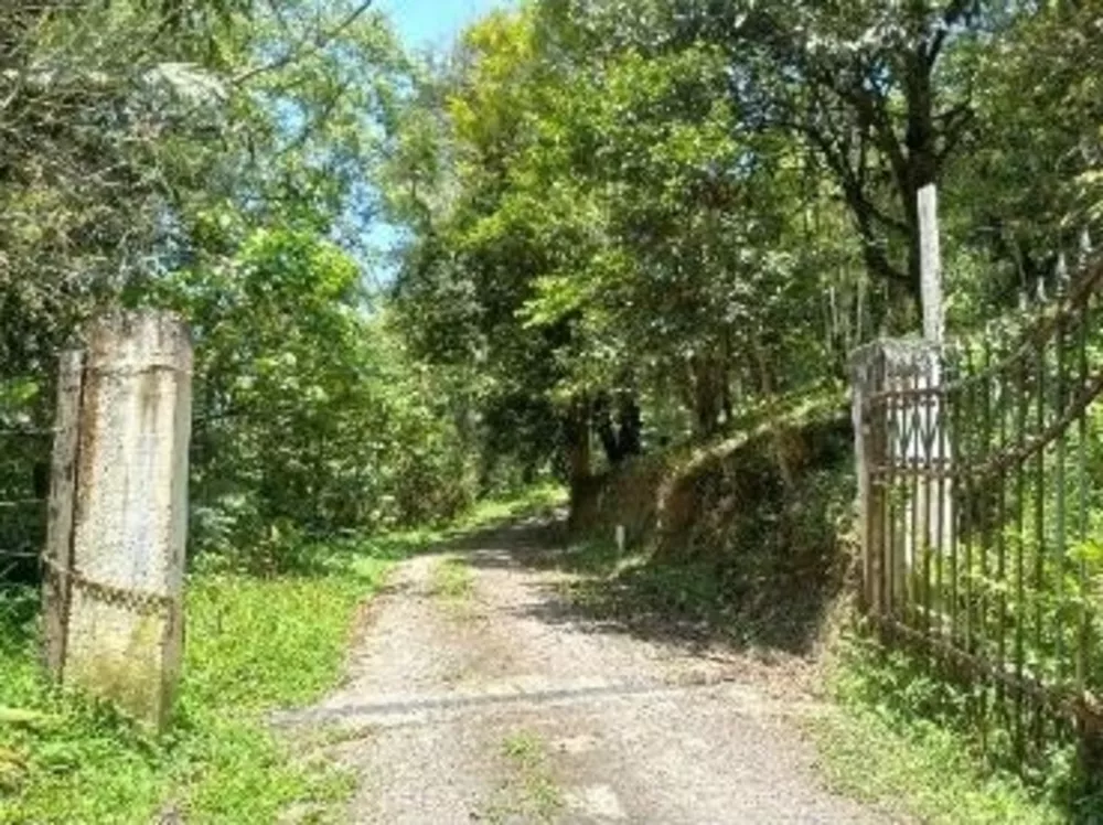 Terreno, 4230 m² - Foto 2