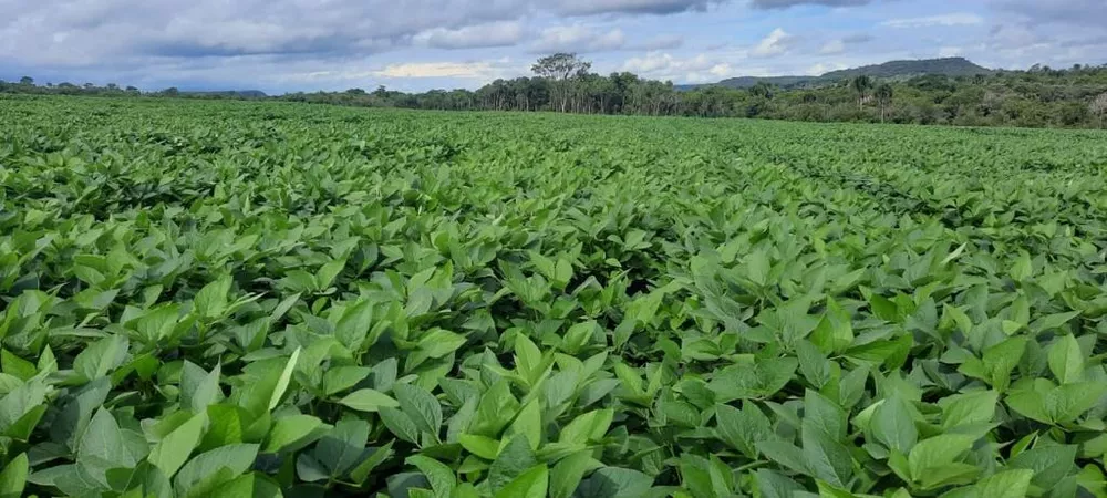 Fazenda, 108 m² - Foto 4