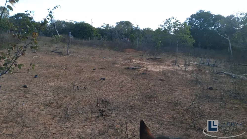 Fazenda, 116 m² - Foto 3