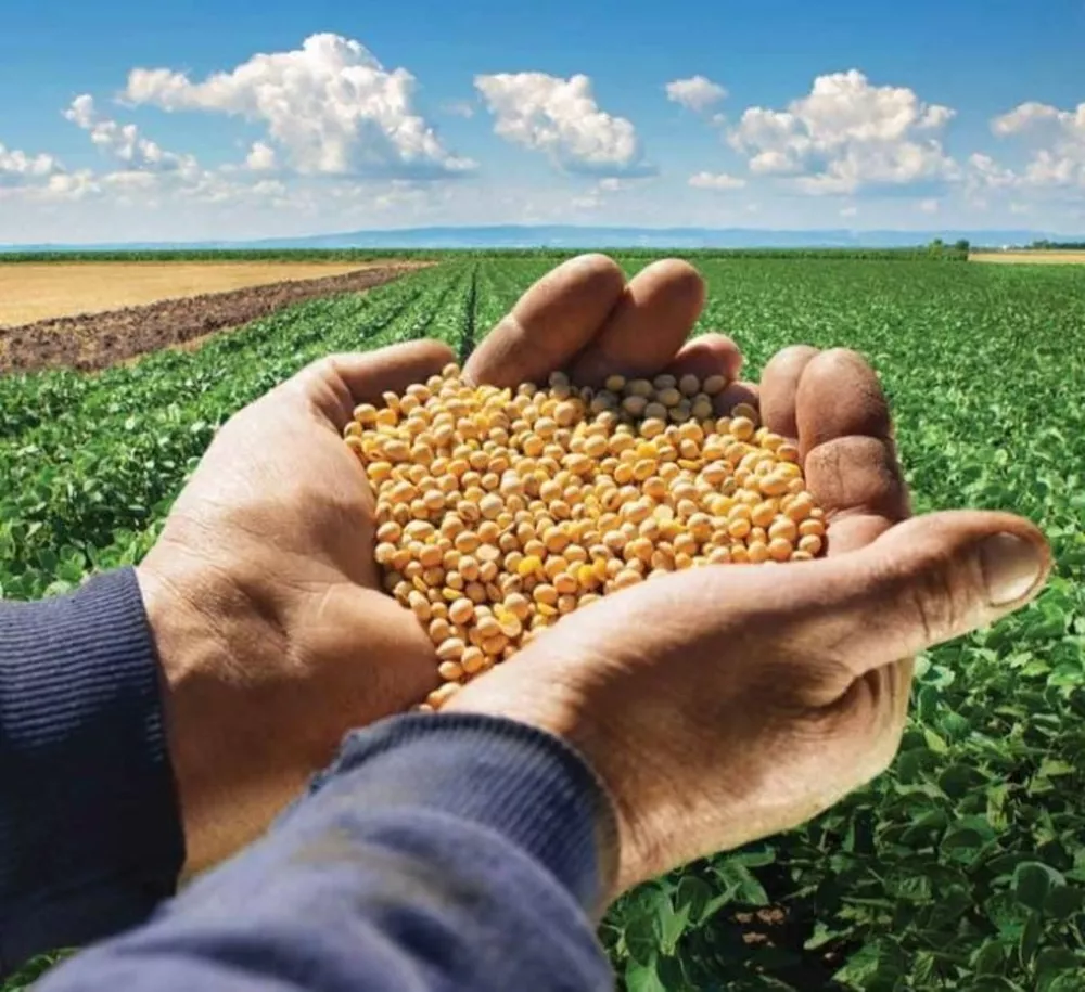 Fazenda, 814 m² - Foto 2