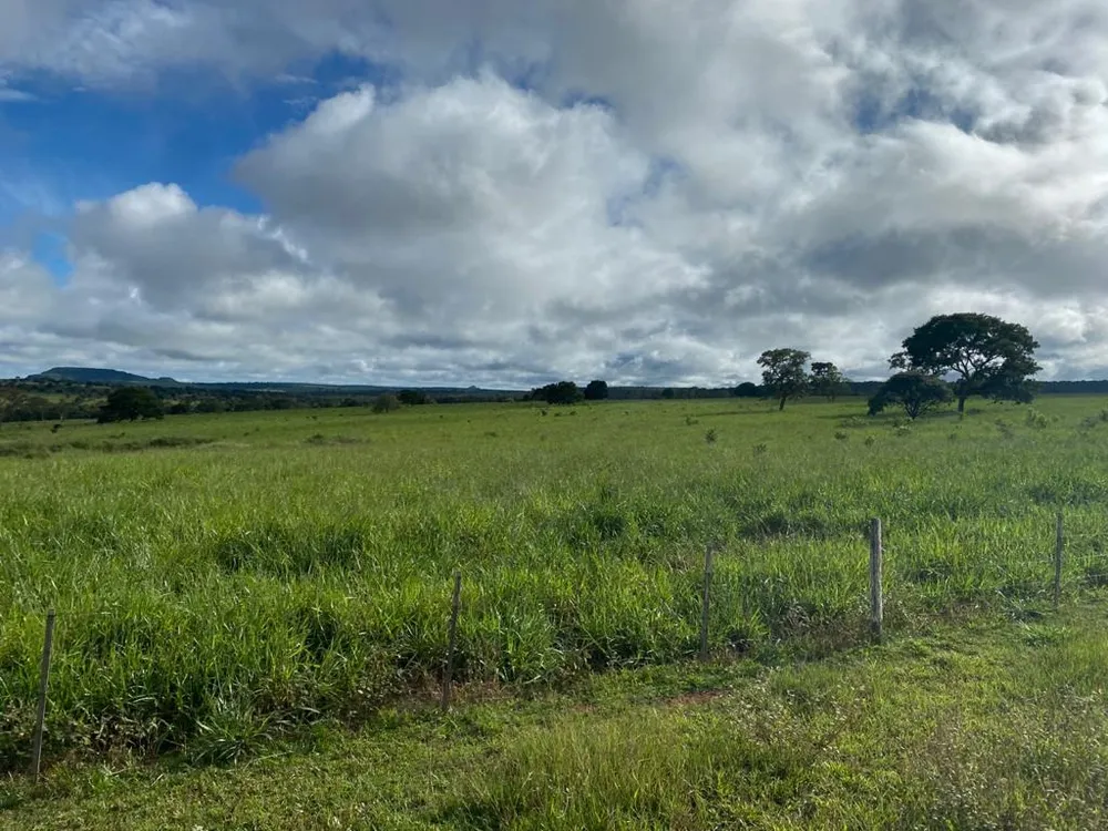 Fazenda, 2795 m² - Foto 5