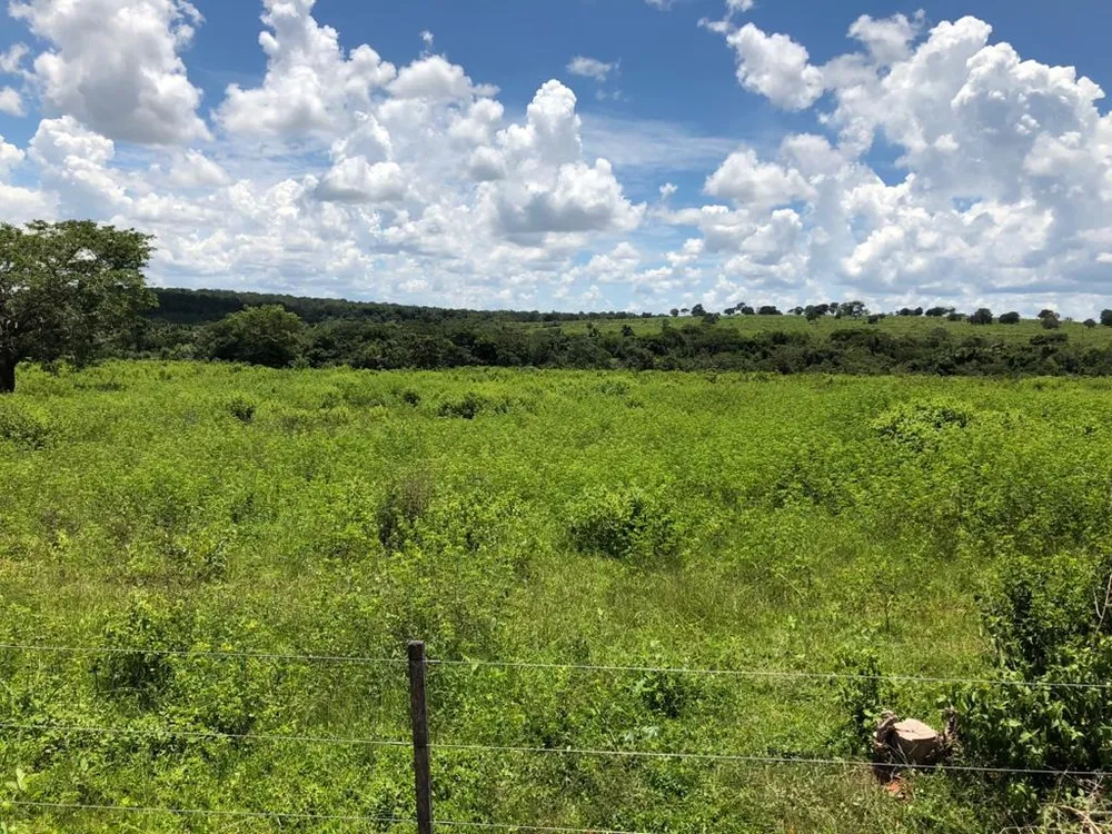 Fazenda, 2795 m² - Foto 1