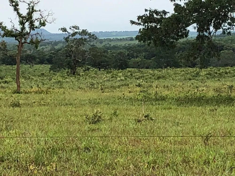 Fazenda, 2795 m² - Foto 3