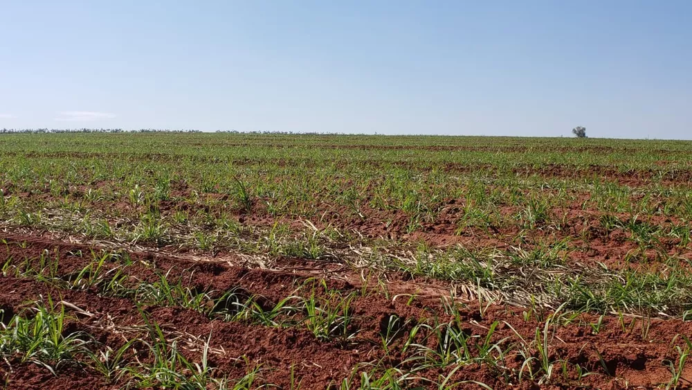 Fazenda, 70 m² - Foto 1