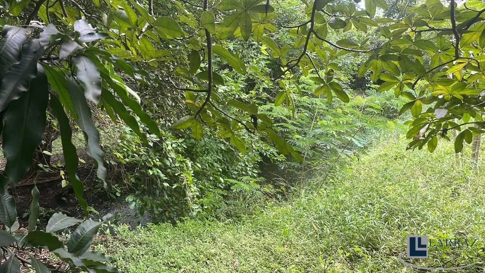 Terreno - Foto 14