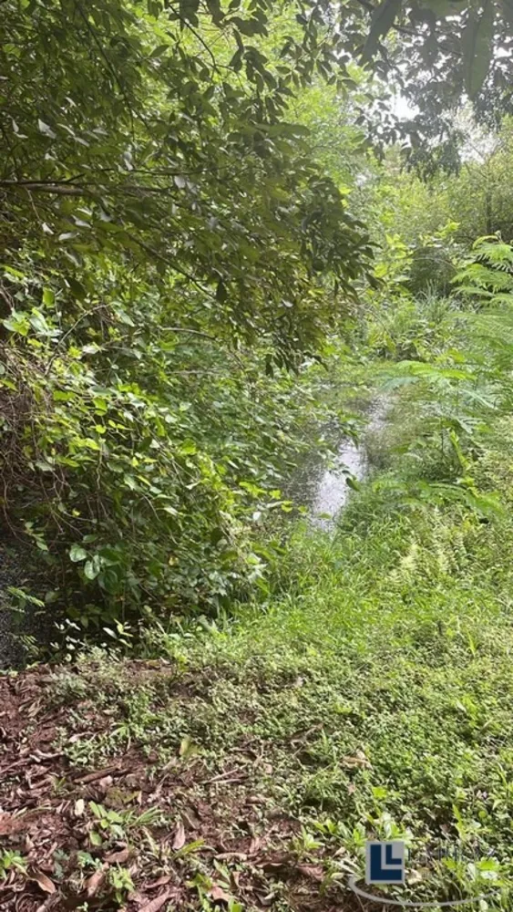 Terreno - Foto 15