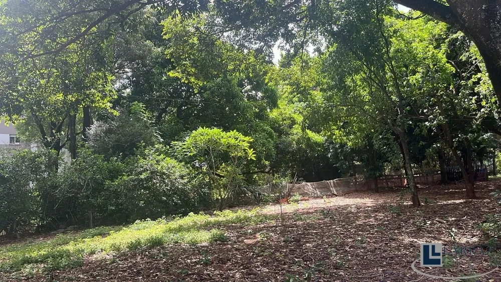 Terreno - Foto 3