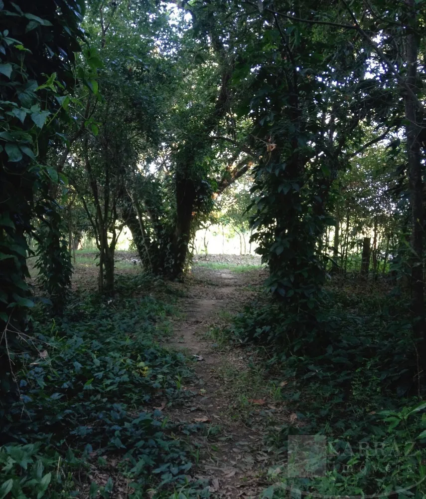 Sítio, 2 quartos, 6 m² - Foto 2