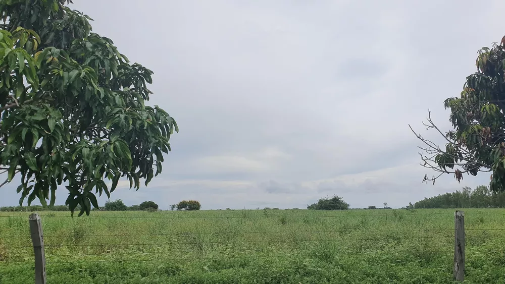Fazenda, 4752 m² - Foto 2