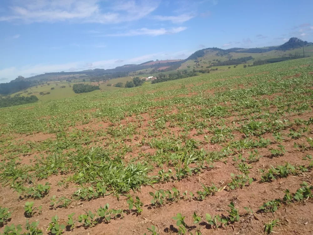 Fazenda, 94 m² - Foto 1