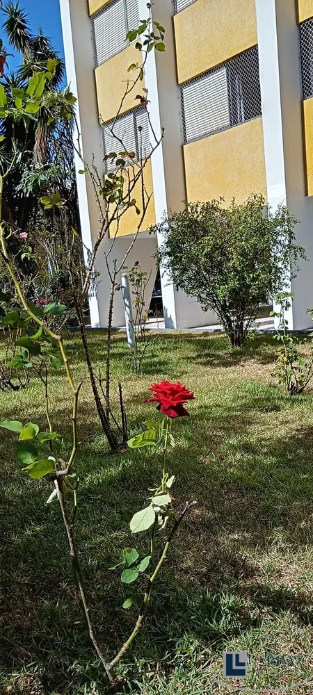 Apartamento, 3 quartos, 105 m² - Foto 10