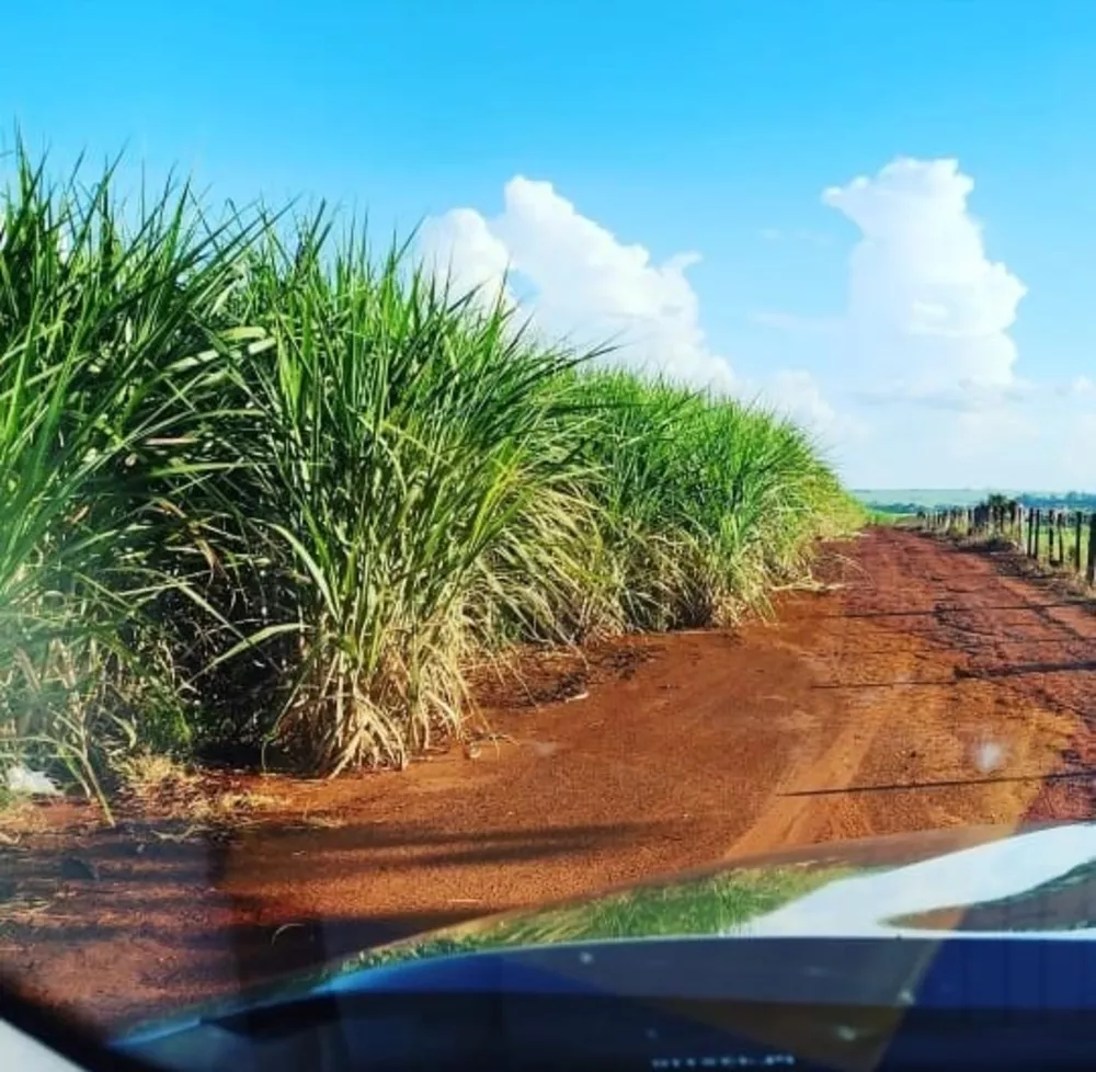 Sítio, 4 m² - Foto 1