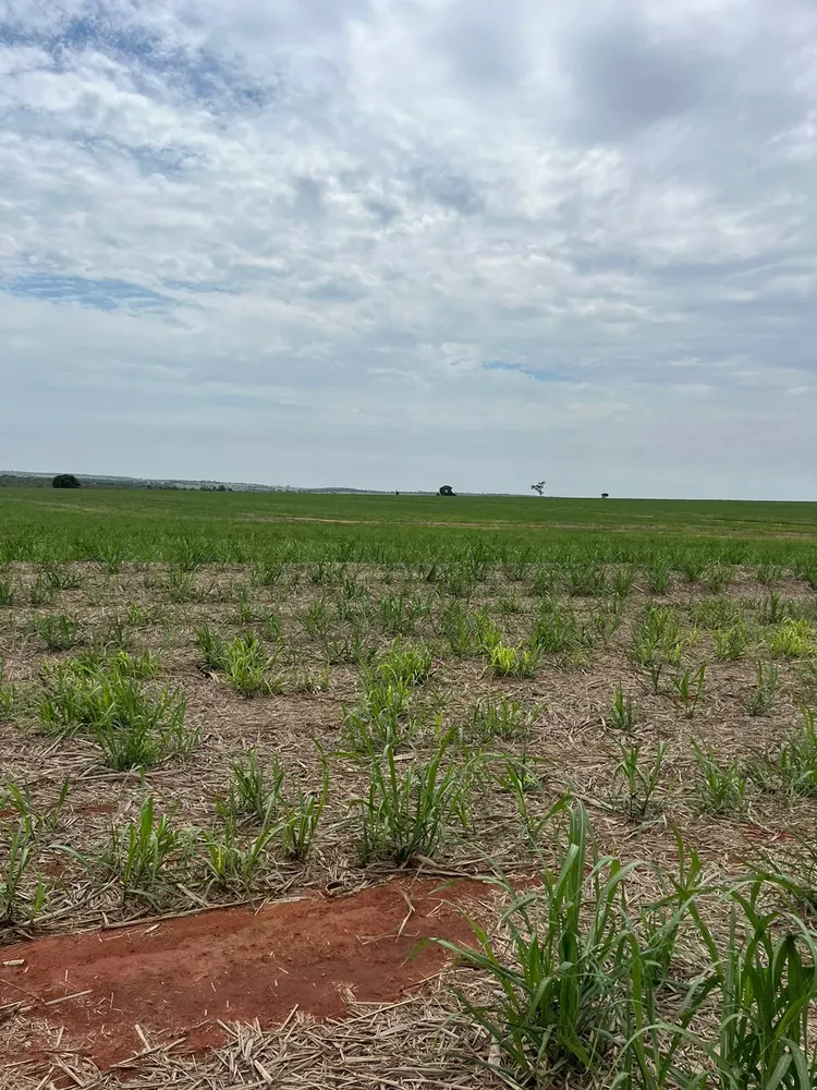 Fazenda, 185 m² - Foto 1