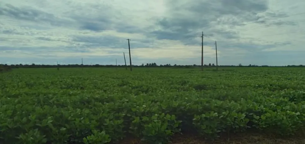 Fazenda, 3 hectares - Foto 2