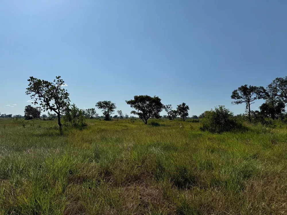 Fazenda, 997 m² - Foto 2