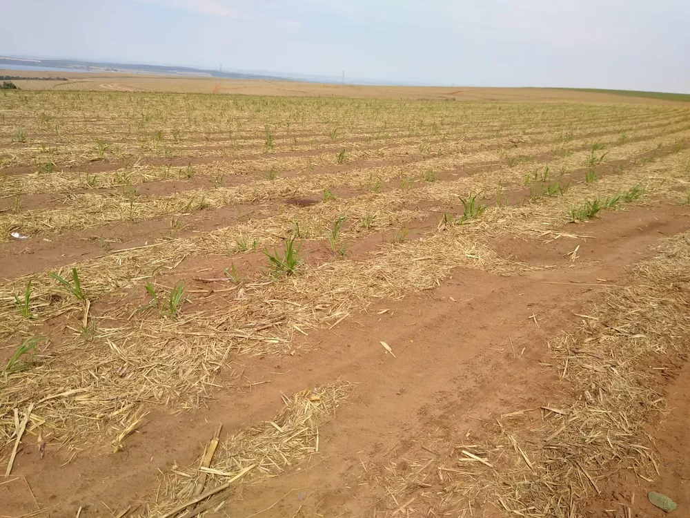 Fazenda, 128 m² - Foto 1