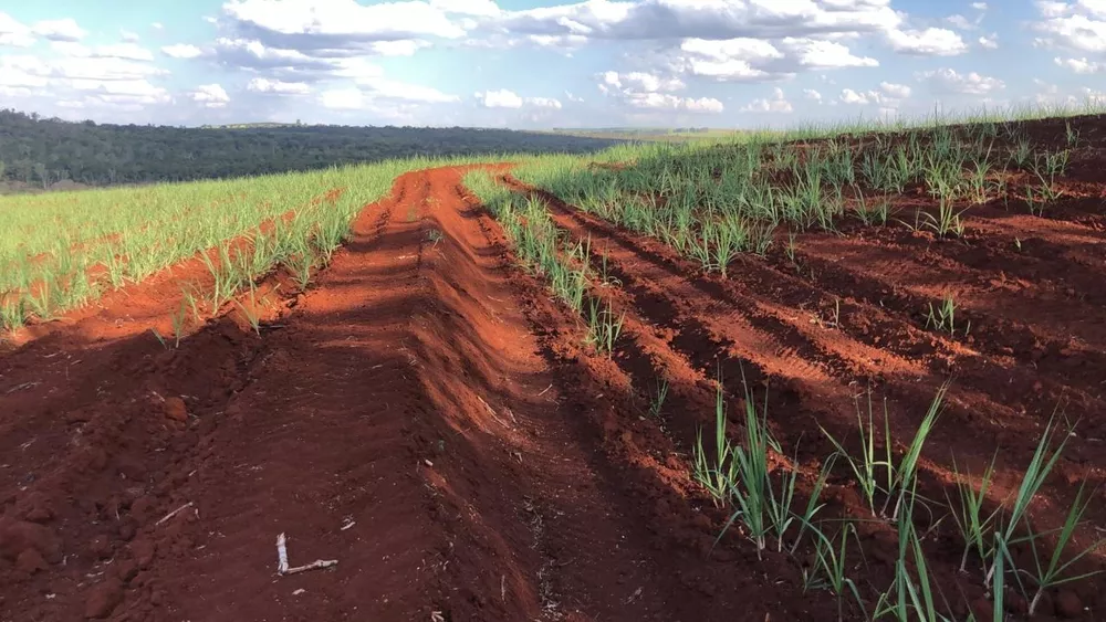 Fazenda, 74 m² - Foto 3