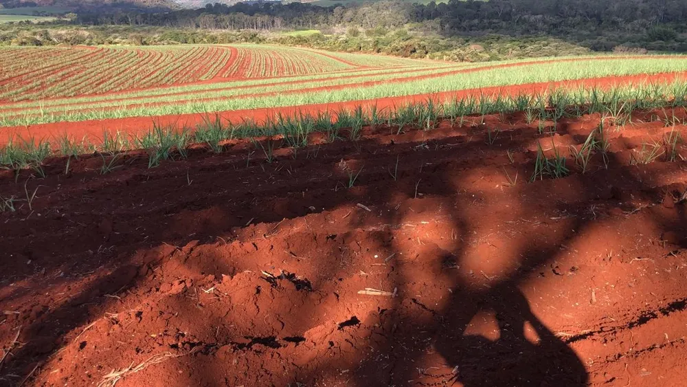 Fazenda, 74 m² - Foto 2
