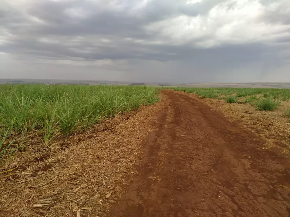 Sítio, 61 m² - Foto 2