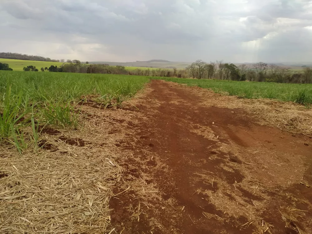 Sítio, 61 m² - Foto 1