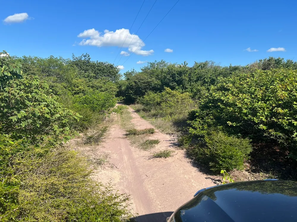 Fazenda, 3677 m² - Foto 8