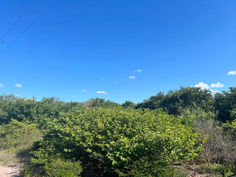 Fazenda, 3677 m² - Foto 1