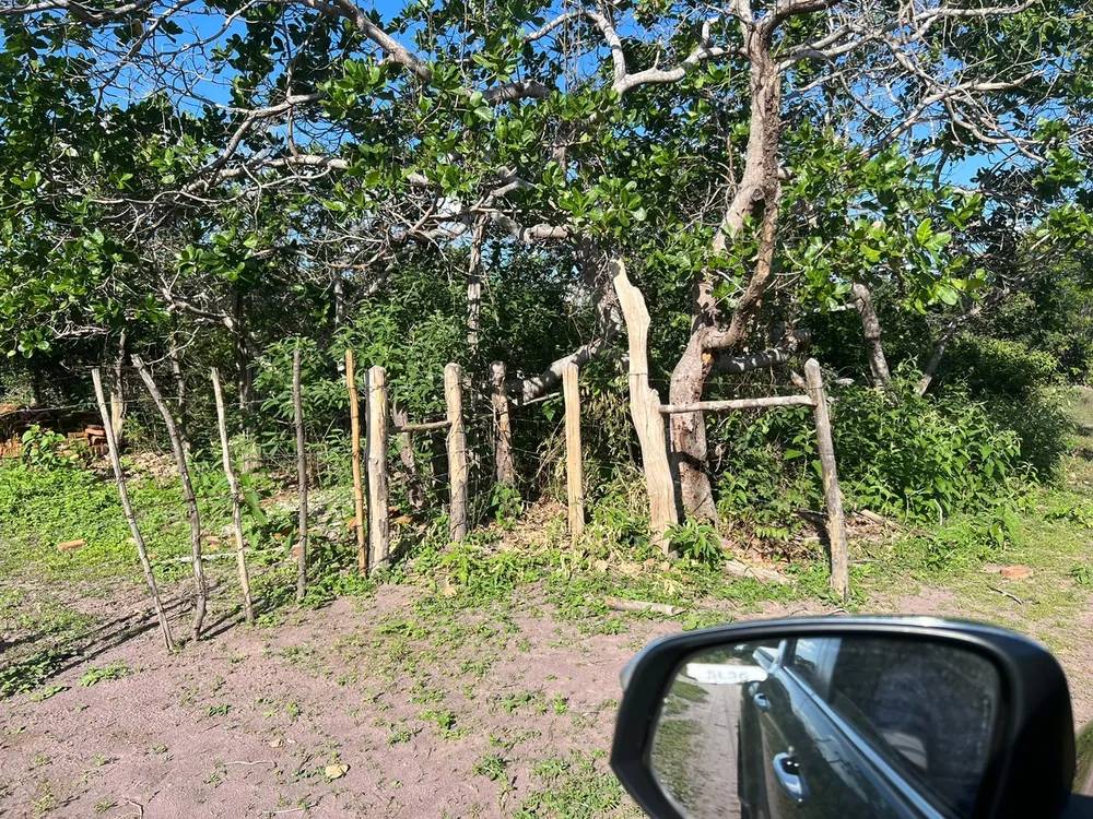 Fazenda, 3677 m² - Foto 14