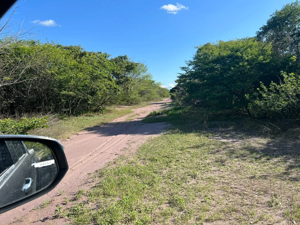 Fazenda, 3677 m² - Foto 11